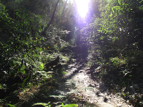 20180110hike (19)